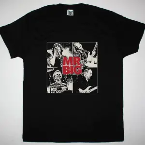 SKINDRED LION NEW BLACKT-SHIRT ÖN BASKILI