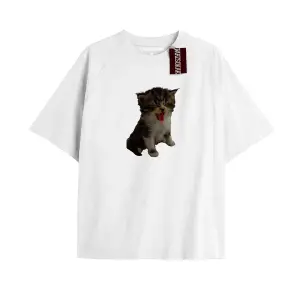 Sokak Trend Tasarım El Gato Tatlı Ve Piskopat Kediler Beyazelgato62