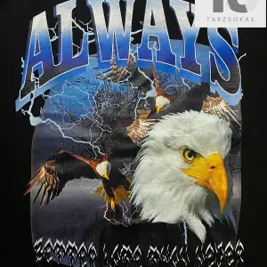 Street Life Erkek Pamuk Kartal ve Mektup Grafik Damla Omuz Tişört