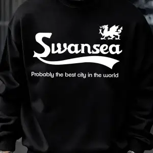 Swansea En İyi Şehir Mektup Tasarım Erkek Kazaklar Vintage Kazak Rahat Yumuşak Giyim Polar Hi
