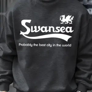 Swansea En İyi Şehir Mektup Tasarım Erkek Kazaklar Vintage Kazak Rahat Yumuşak Giyim Polar Hi