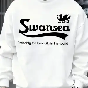 Swansea En İyi Şehir Mektup Tasarım Erkek Kazaklar Vintage Kazak Rahat Yumuşak Giyim Polar Hi