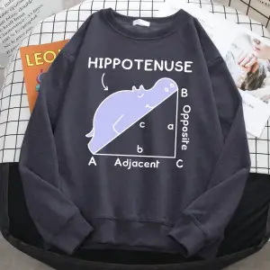 Trend sonbahar kazak kadınlar için Hippo matematik sorunu üzerinde uyku baskı Hoody yumuşak p