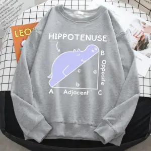 Trend sonbahar kazak kadınlar için Hippo matematik sorunu üzerinde uyku baskı Hoody yumuşak p