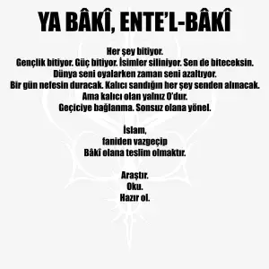YA BÂKÎ, ENTE’L BÂKÎ Özel Tasarım Tişört satın almadan açıklama ve görsel açıklamayı OKUYUN!