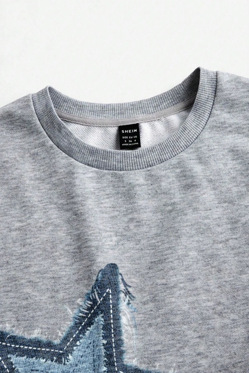 2 Parça/Takım Kadın Büyük Boy Yıldız ve Harf Baskılı Mürettebat Yaka Sweatshirt Ve B