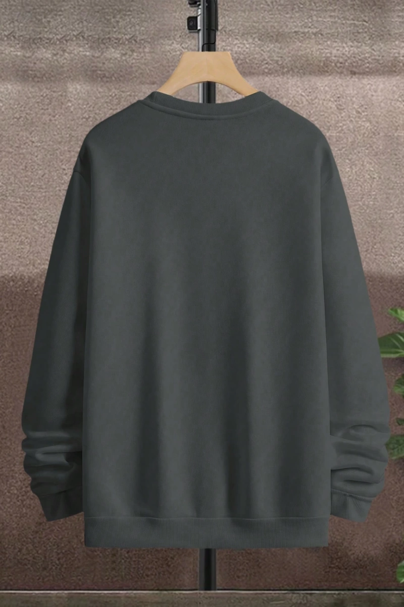 Büyük Beden Erkek Günlük Harf ve Rakam Baskılı Sweatshirt, İlkbahar