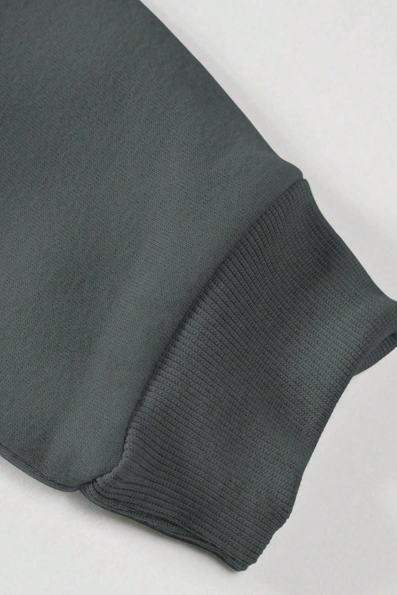 Büyük Beden Erkek Günlük Harf ve Rakam Baskılı Sweatshirt, İlkbahar