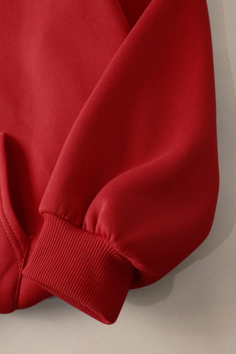 Büyük Beden Kapüşonlu Sweatshirt Harf Baskılı ve Bağcıklı Model 5174