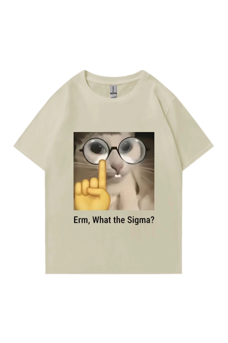 Erm, What The Sigma? Meme Funny T-Shirts Silly Cat Humor Print T Shirt Men Women Cute vintage