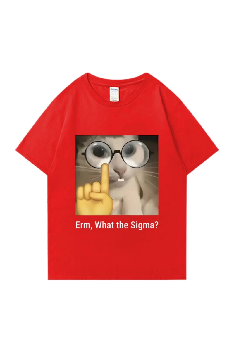 Erm, What The Sigma? Meme Funny T-Shirts Silly Cat Humor Print T Shirt Men Women Cute vintage