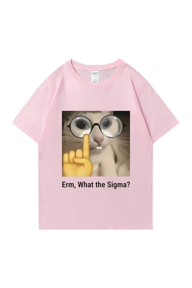 Erm, What The Sigma? Meme Funny T-Shirts Silly Cat Humor Print T Shirt Men Women Cute vintage