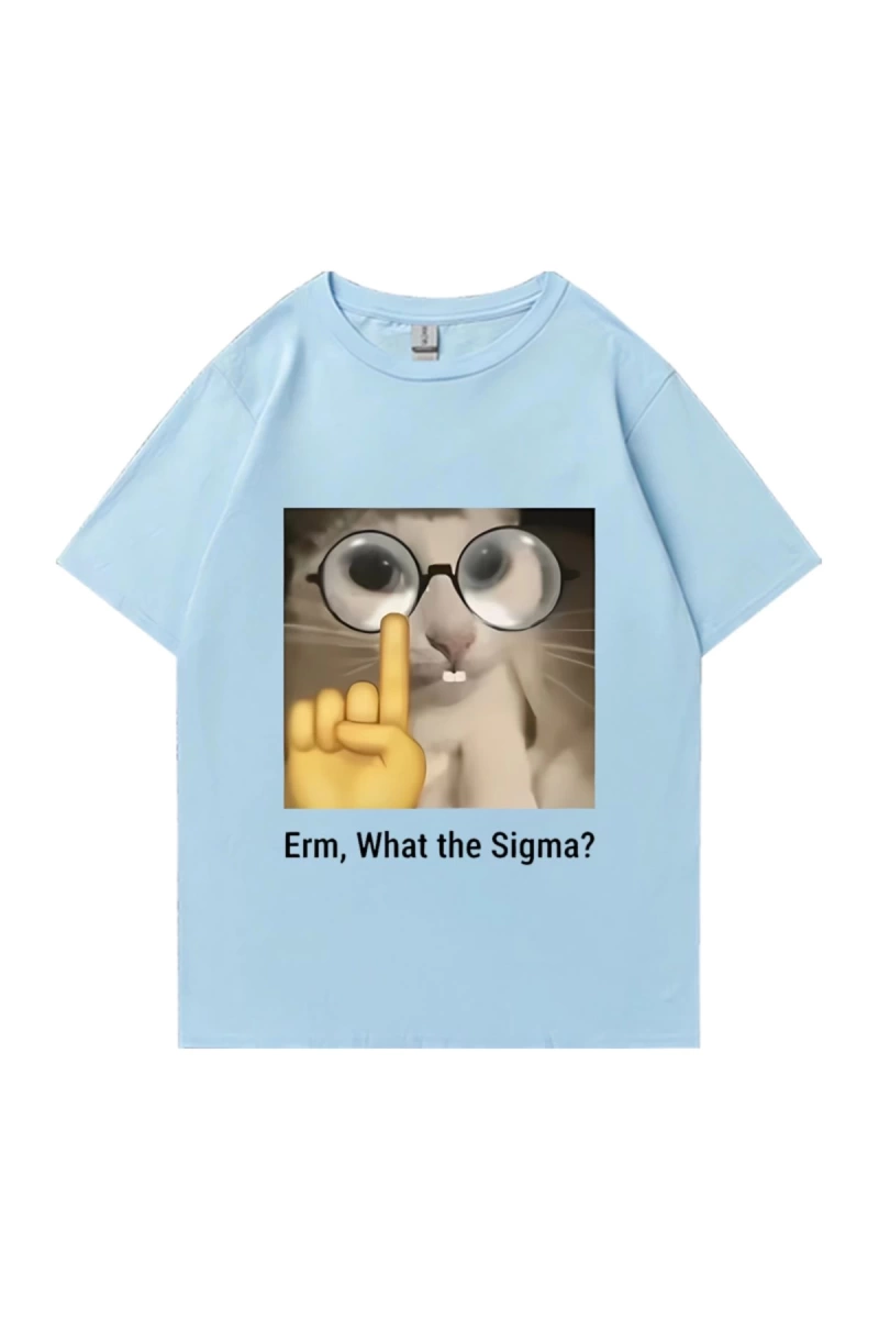 Erm, What The Sigma? Meme Funny T-Shirts Silly Cat Humor Print T Shirt Men Women Cute vintage