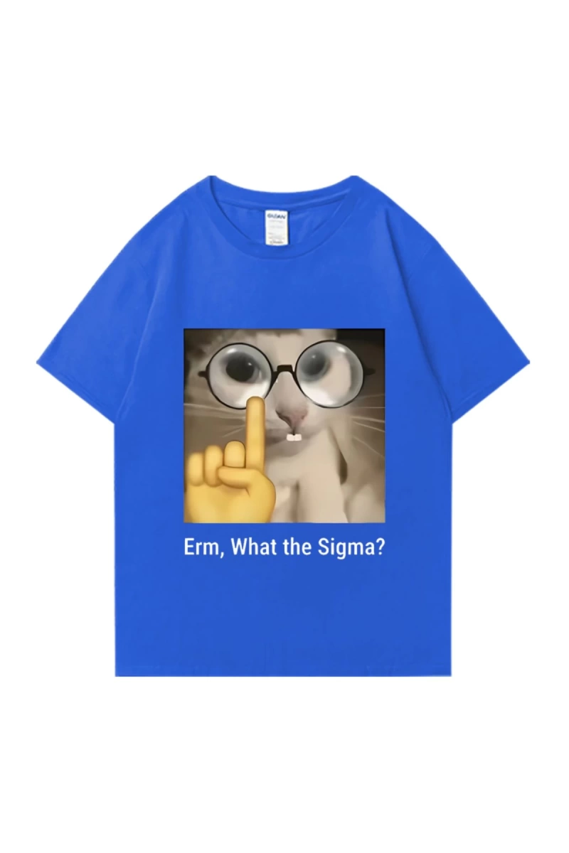 Erm, What The Sigma? Meme Funny T-Shirts Silly Cat Humor Print T Shirt Men Women Cute vintage