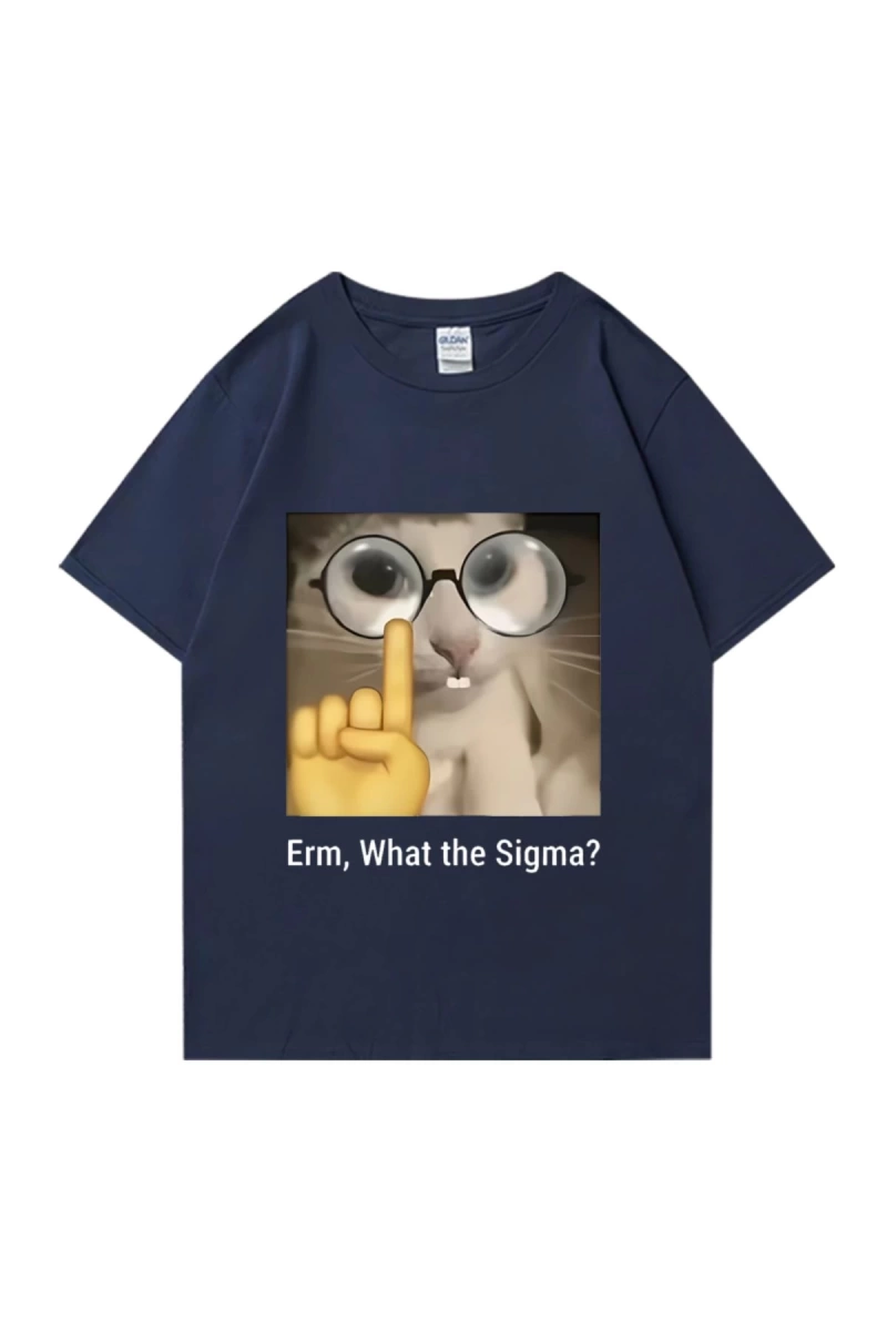 Erm, What The Sigma? Meme Funny T-Shirts Silly Cat Humor Print T Shirt Men Women Cute vintage
