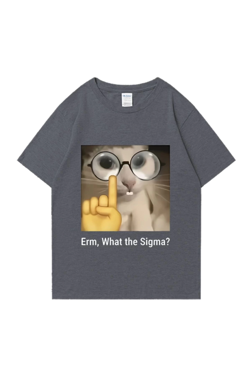 Erm, What The Sigma? Meme Funny T-Shirts Silly Cat Humor Print T Shirt Men Women Cute vintage