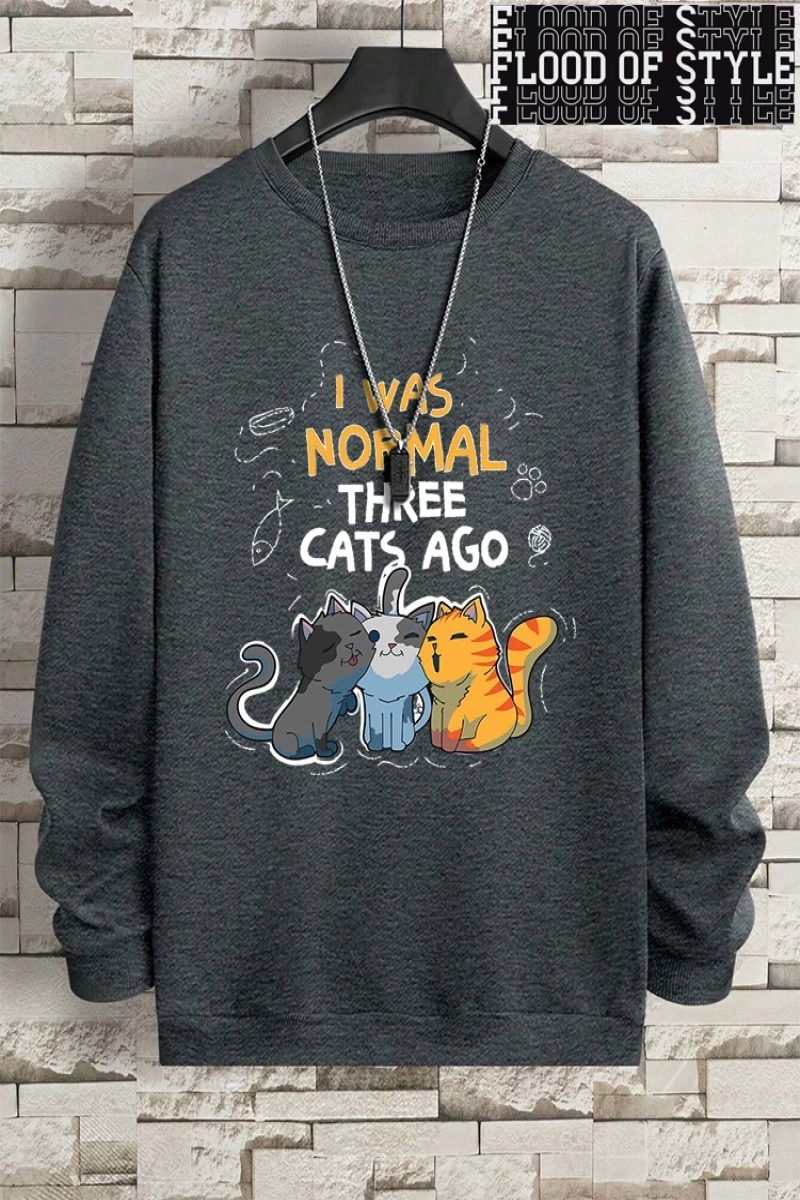 Hip Hop Harajuku Vintage Tarzı  Normaldim Üç Kedi Önce Adam  Gri
