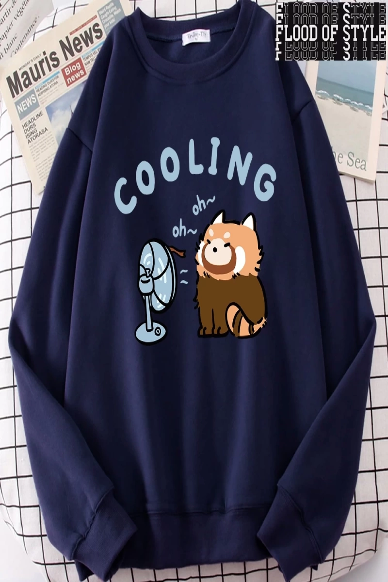 Hip Hop Harajuku Vintage Tarzı  rakun üfleme bir Fan sevimli  Gri