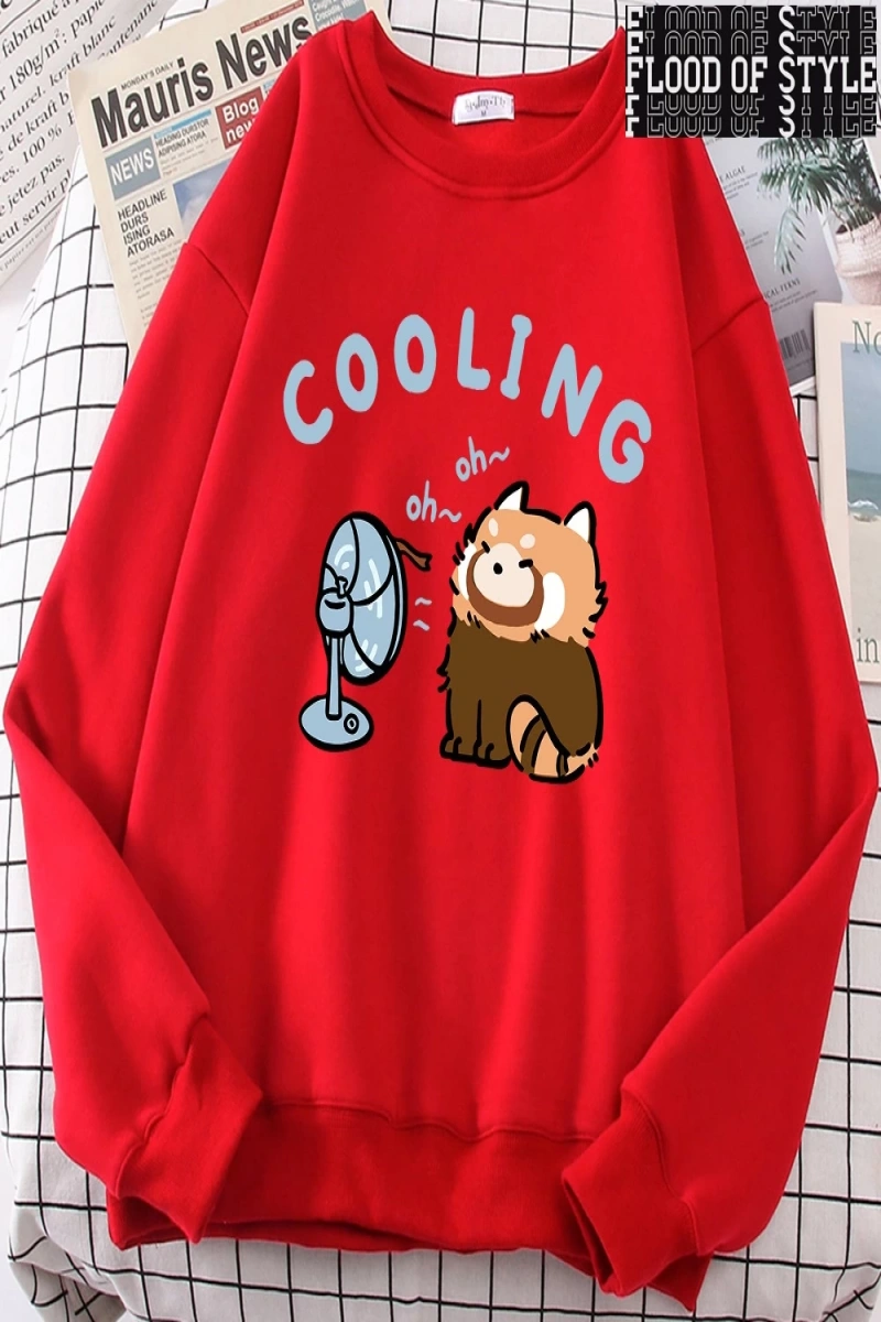 Hip Hop Harajuku Vintage Tarzı  rakun üfleme bir Fan sevimli  Gri