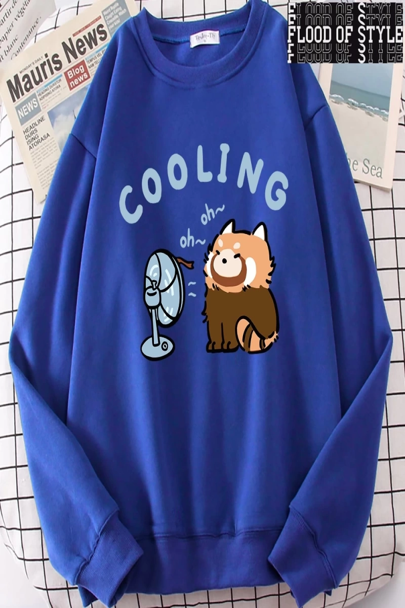Hip Hop Harajuku Vintage Tarzı  rakun üfleme bir Fan sevimli  Gri
