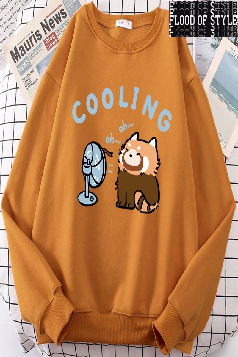 Hip Hop Harajuku Vintage Tarzı  rakun üfleme bir Fan sevimli  Gri