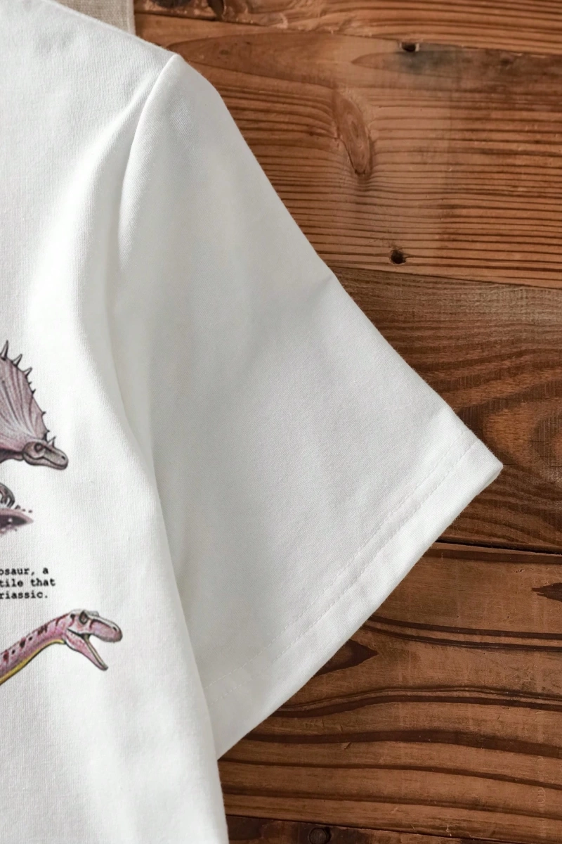 Kadın Günlük Dinozor Baskılı Bol Kesim Mürettebat Yaka İnce Kısa Kollu Beyaz Tişört,