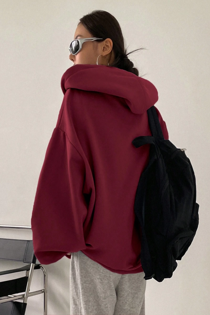 Kadın Renk Bloklu Bağcıklı Yaka Termal Astarlı Kapşonlu Sweatshirt, Uzun Kollu Üstler Model 5196