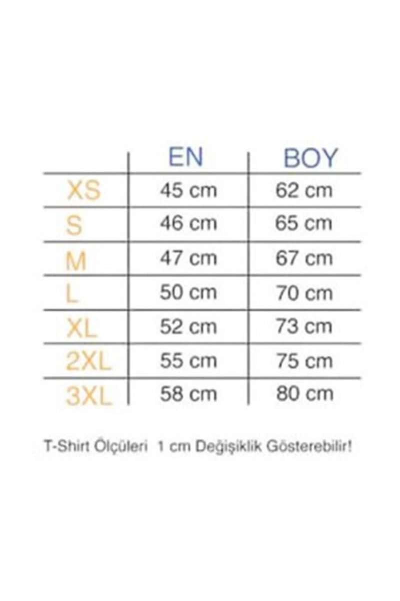 MAVİ Unisex Adventure Time Baskılı T-shirt PNRMTSHRT1113