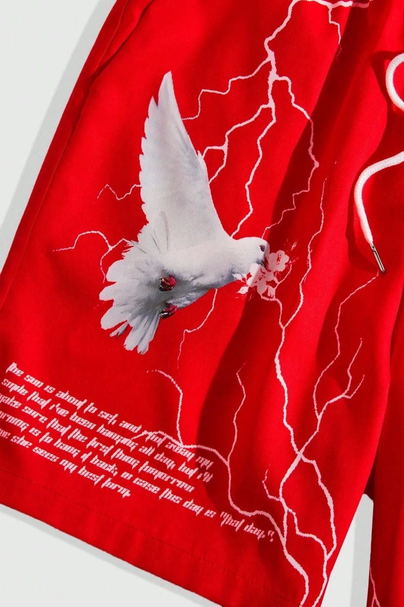Sokak Hayatı Erkek Güvercin & Slogan Grafik Bağcıklı Bel Basketbol Şortu, Okul