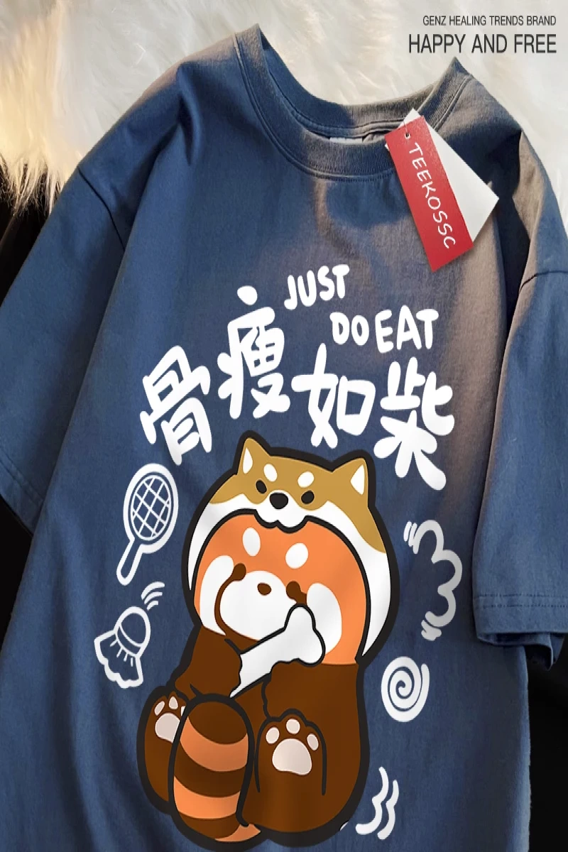 Y2k Vintage Tişört Tee Bir zayıf rakun japon tarzı