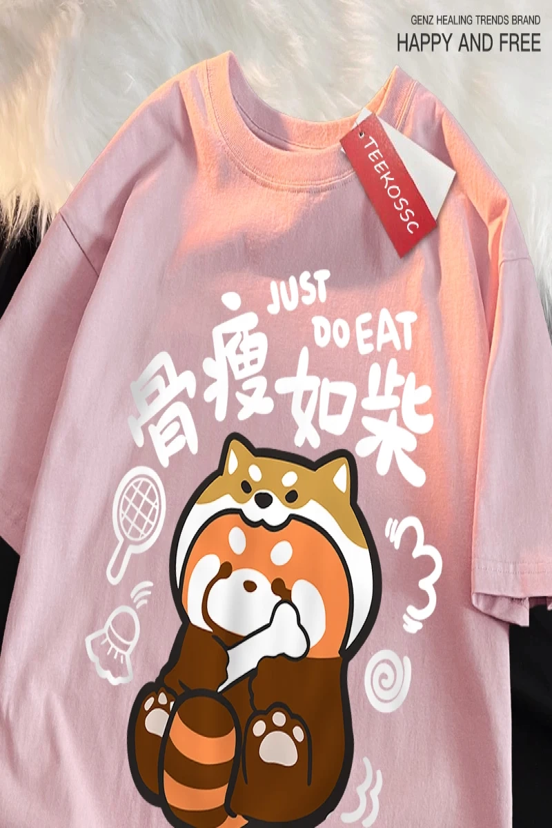 Y2k Vintage Tişört Tee Bir zayıf rakun japon tarzı