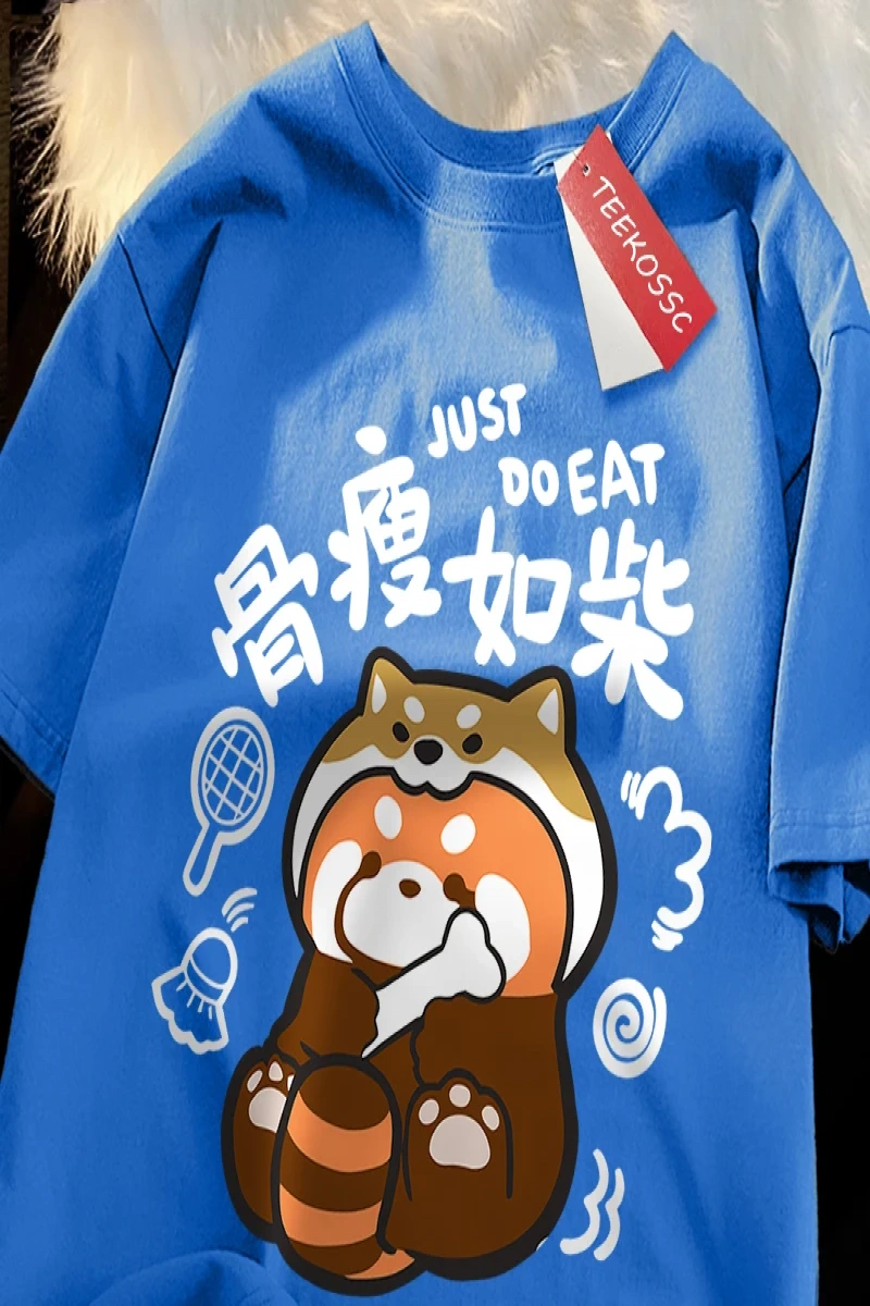 Y2k Vintage Tişört Tee Bir zayıf rakun japon tarzı