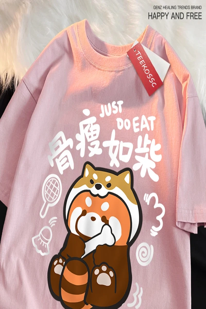 Y2k Vintage Tişört Tee Bir zayıf rakun japon tarzı