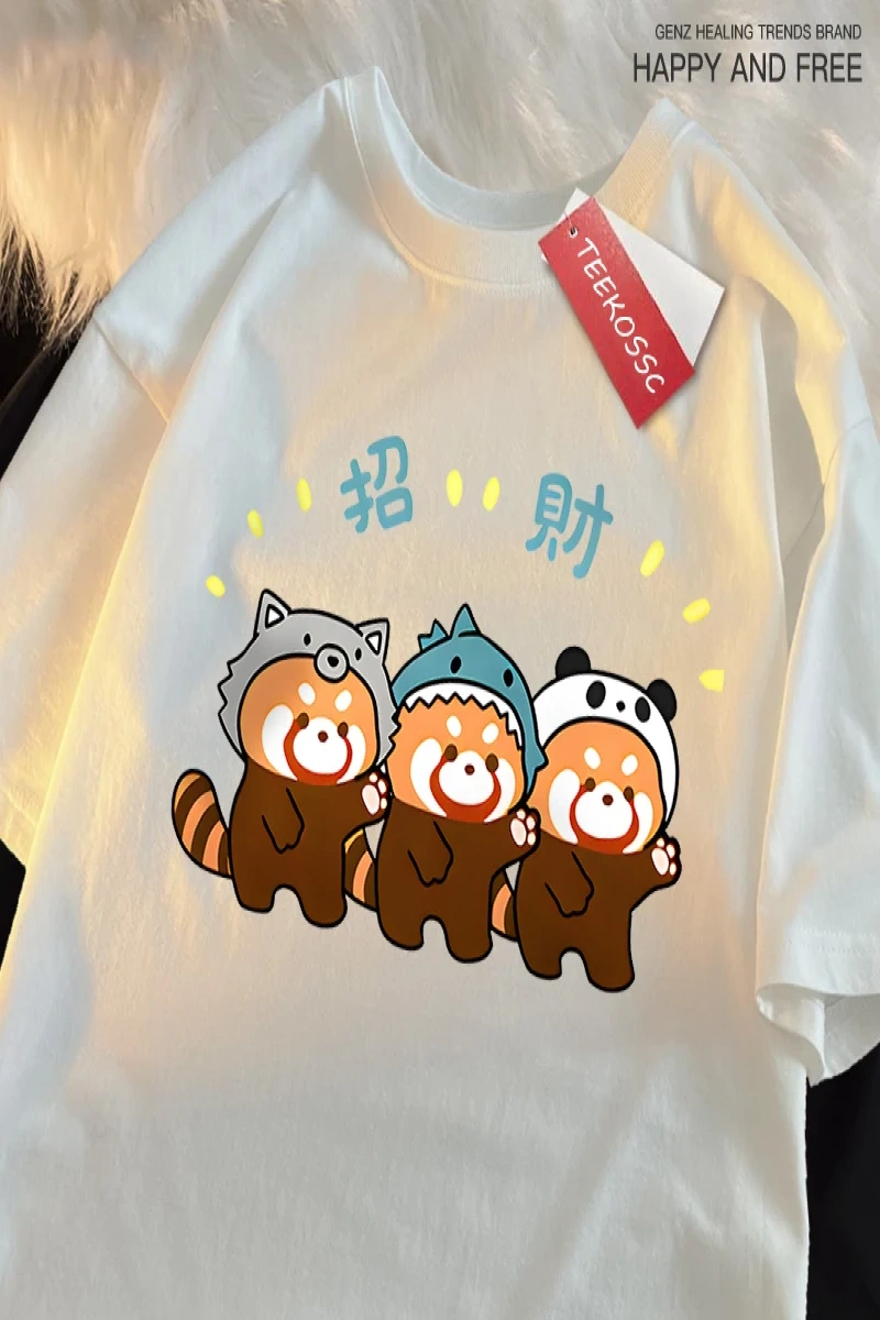 Y2k Vintage Tişört Tee Komik zengin rakun baskı japon tarzı