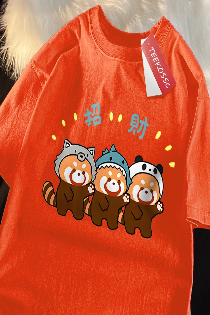 Y2k Vintage Tişört Tee Komik zengin rakun baskı japon tarzı
