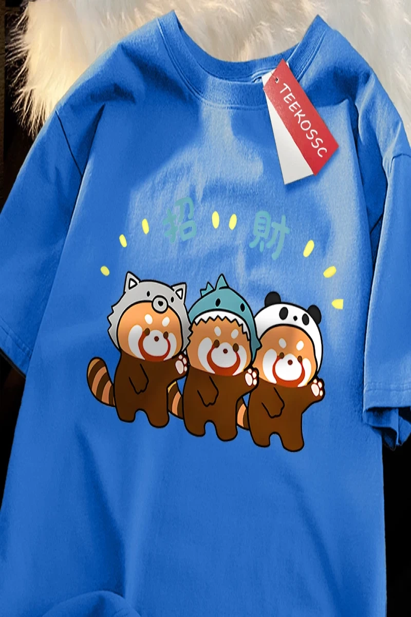 Y2k Vintage Tişört Tee Komik zengin rakun baskı japon tarzı