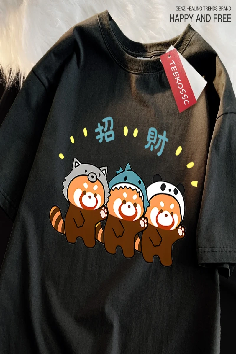 Y2k Vintage Tişört Tee Komik zengin rakun baskı japon tarzı