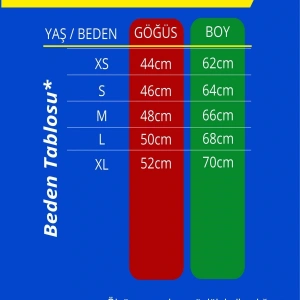 100. Yıl Atatürk Baskılı Unisex T-shirt HY01