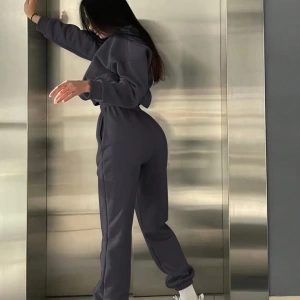 2li Büyük Beden Günlük Harfli Grafik Polar Sweatshirt ve Eşofman Altı Takımı, Sonbah