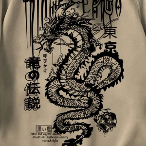 Anime Guys Dragon & Slogan Graphic Raglan Sleeve Drawstring Hoodie Haki