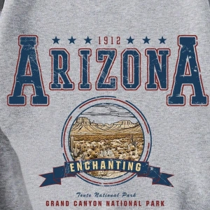 Arizona Baskılı Üç İplik Unisex Oversize Sweatshirt Gri