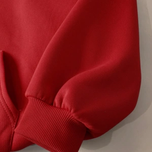 Büyük Beden Kapüşonlu Sweatshirt Harf Baskılı ve Bağcıklı Model 5174