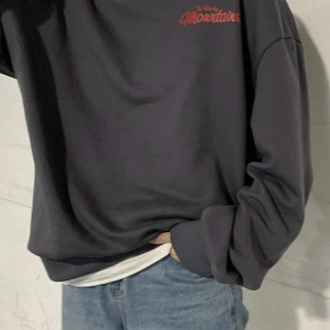 DAZY Mountain And Slogan Graphic Drop Shoulder Sweatshirt Gri