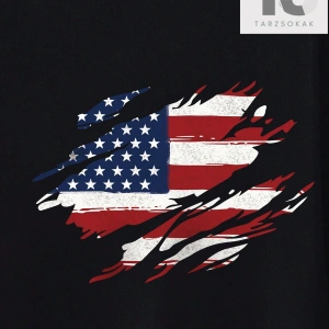 Erkek Amerikan Bayrağı Baskılı Tişört