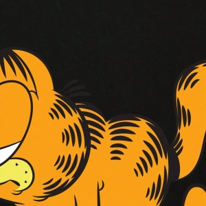 GARFIELD X SHEIN Erkek Günlük Karikatür Kedi ve Harf Baskılı Kısa Kollu Tişört, Yaz
