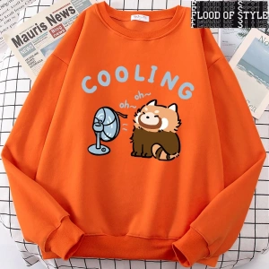 Hip Hop Harajuku Vintage Tarzı  rakun üfleme bir Fan sevimli  Gri