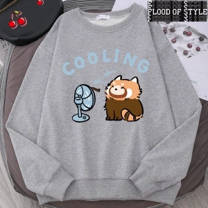 Hip Hop Harajuku Vintage Tarzı  rakun üfleme bir Fan sevimli  Gri