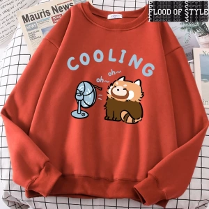 Hip Hop Harajuku Vintage Tarzı  rakun üfleme bir Fan sevimli  Gri