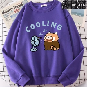 Hip Hop Harajuku Vintage Tarzı  rakun üfleme bir Fan sevimli  Gri
