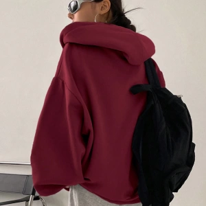 Kadın Renk Bloklu Bağcıklı Yaka Termal Astarlı Kapşonlu Sweatshirt, Uzun Kollu Üstler Model 5196